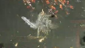 Nioh 3 Kyokotsu boss fight - optional boss